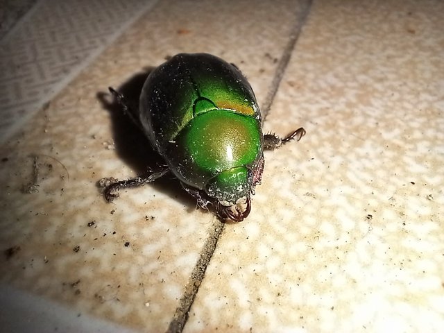 20230829_191204.jpg