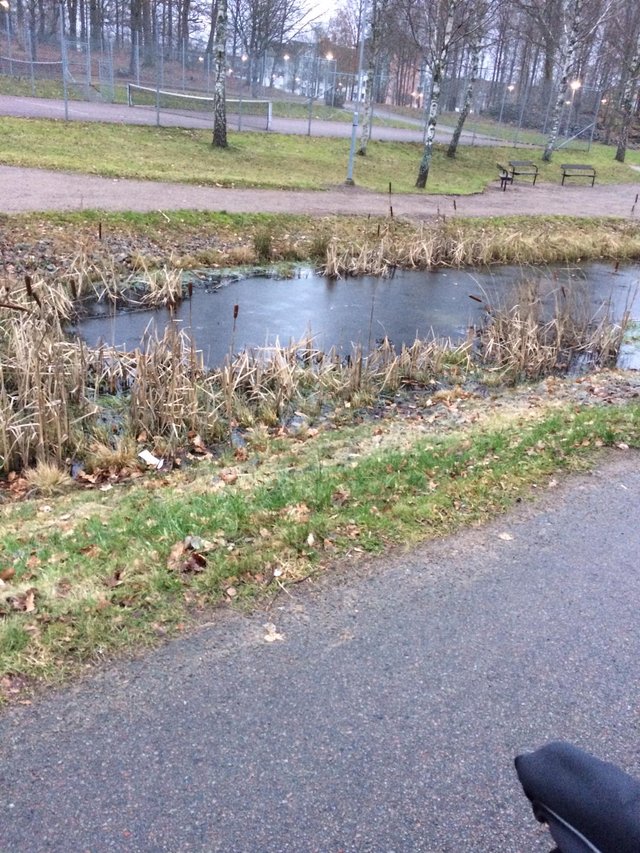 IMG-20191230-WA0003.jpg