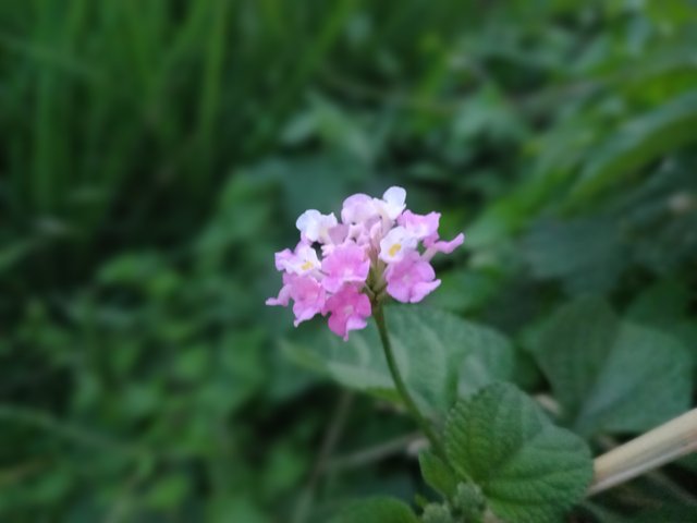 20251001_175804.jpg