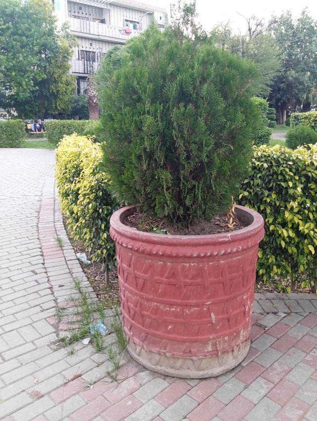 1000101577.jpg