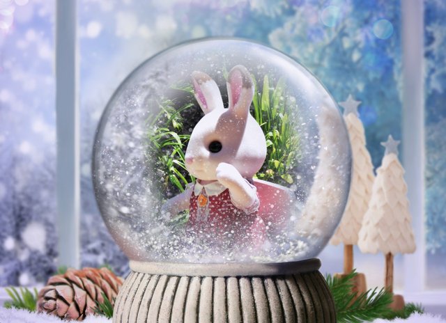 Bunny in snow ball .jpg