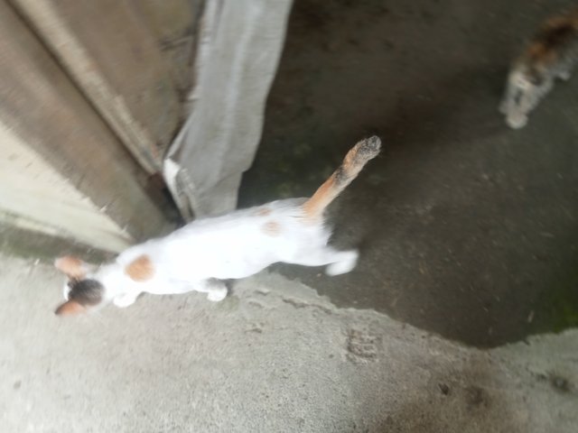 IMG20250417130715.jpg