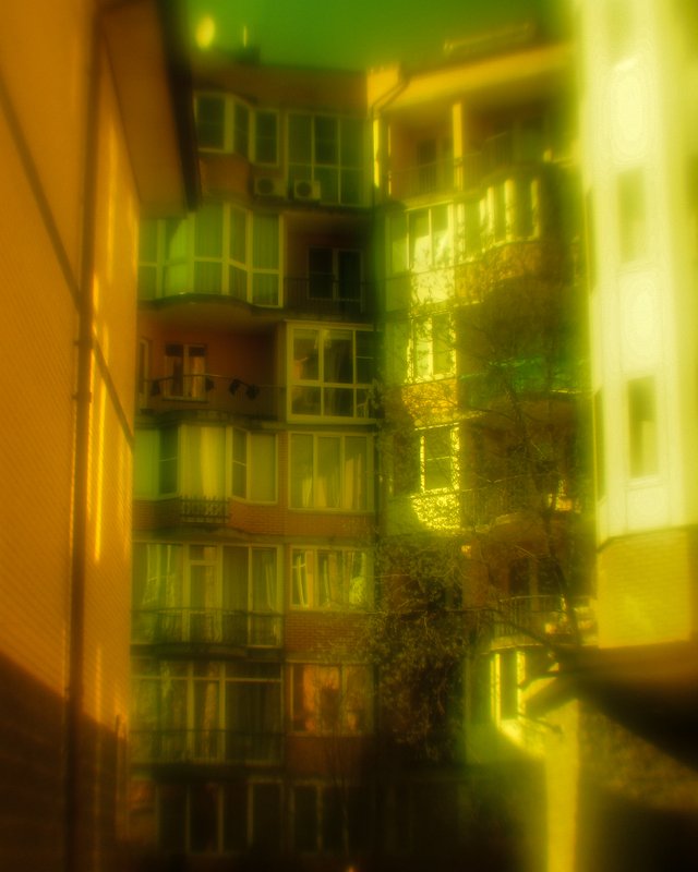DSC01748.jpg
