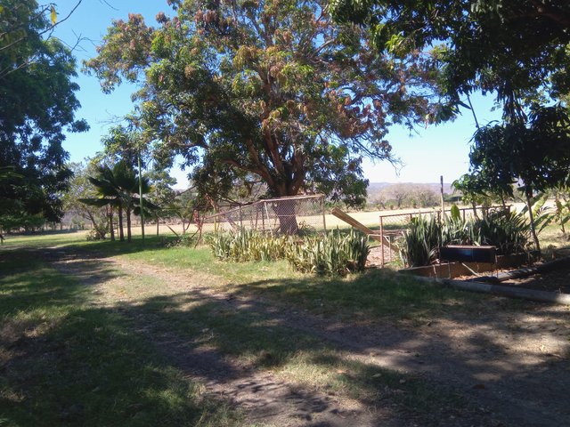 IMG_20230225_105517_568.jpg