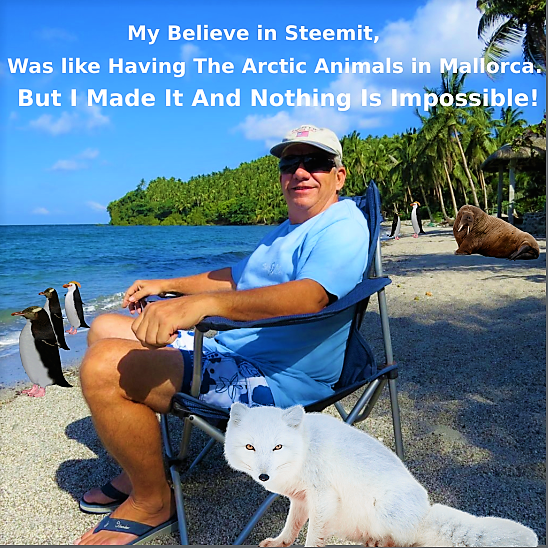 steemit (2).PNG