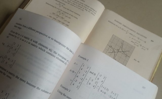 1000099211.jpg