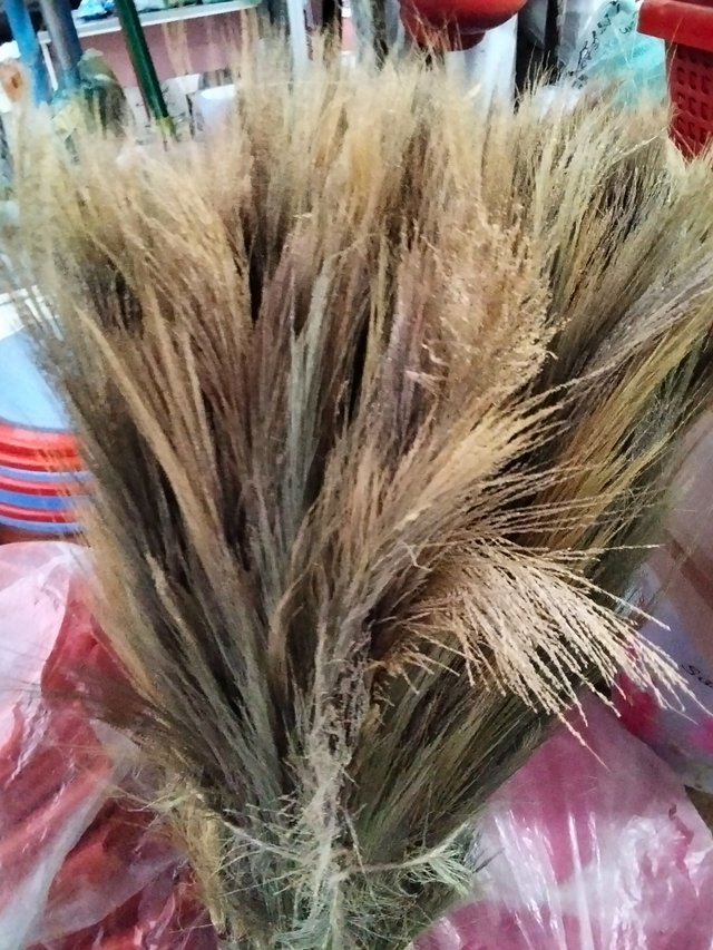 IMG20250921150543.jpg