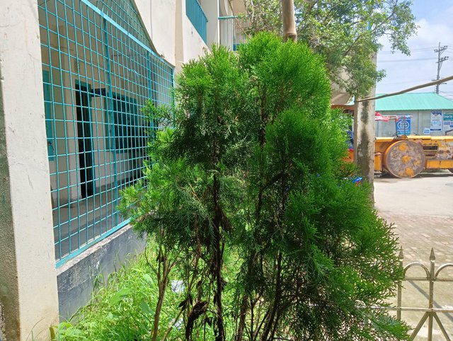 IMG20250729111455.jpg