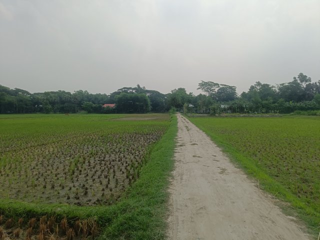 IMG20250501103038.jpg