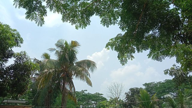 IMG_20250505_081239_371.jpg