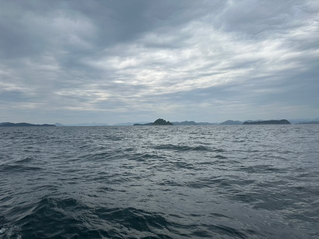 IMG_6096.jpeg