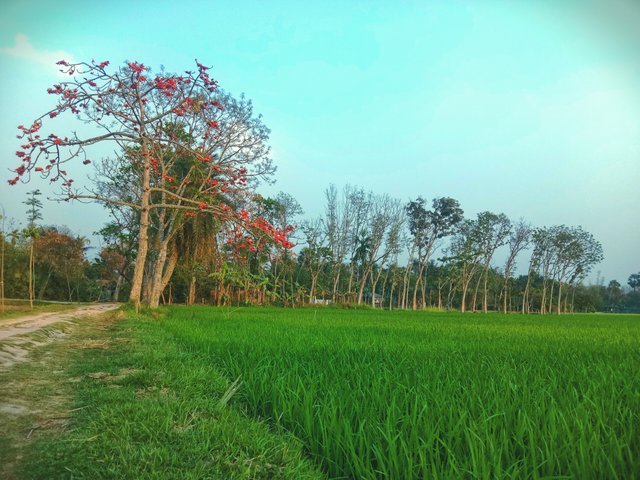 IMG_20250310_190913.jpg