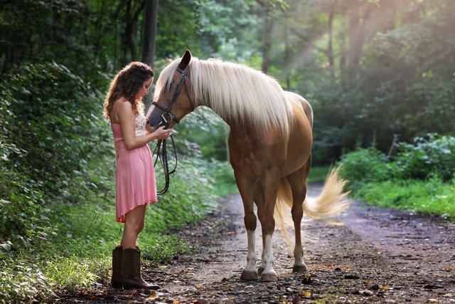 woman-wearing-pink-dress-standing-next-to-brown-horse-1090408.jpg