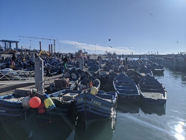 IMG_20191201_161026.jpg