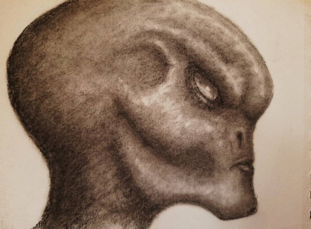 20250922_114234.jpg