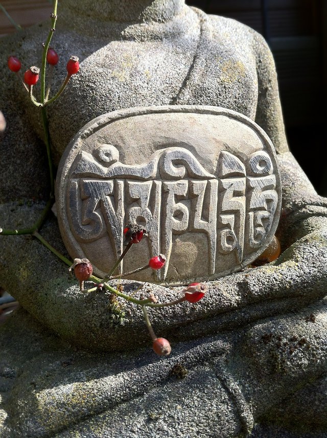 buddha-381008_1280.jpg