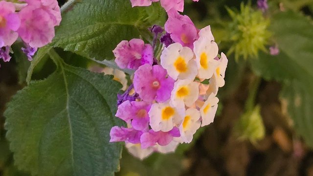 20250403_212020.jpg