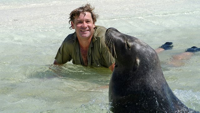 steve-irwin-with-a-sea-lion-data.jpg