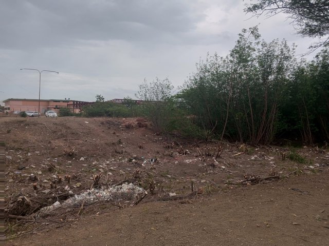 IMG-20250409-WA0105.jpg