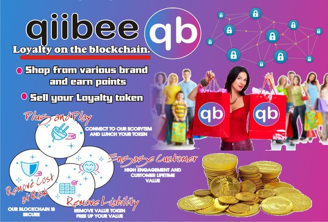 Qiibee.JPG