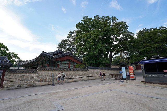 b-DSC00641.JPG