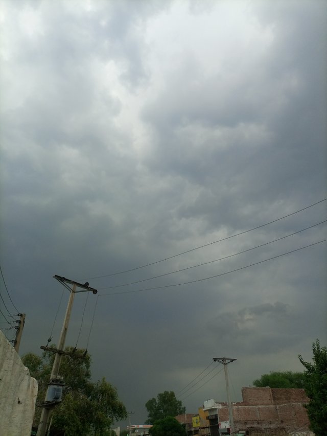 IMG_20250629_161230_853.jpg