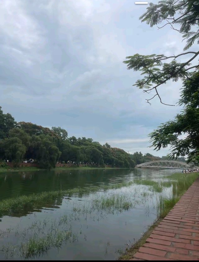 4195.jpg