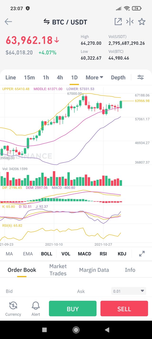 Screenshot_2021-11-02-23-07-57-201_com.binance.dev.jpg