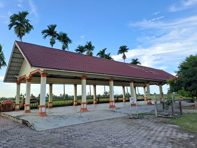 20250311_174008.jpg