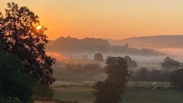 361-Morgen-Sonnenaufgang-Nebel-2023-06-24_Lisa.jpg