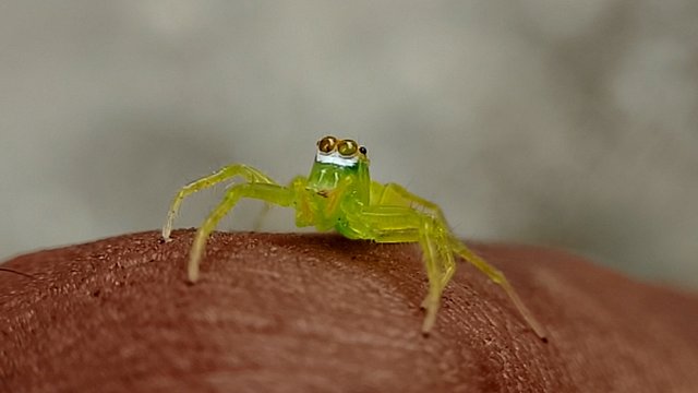 IMG_20250719_160126.jpg