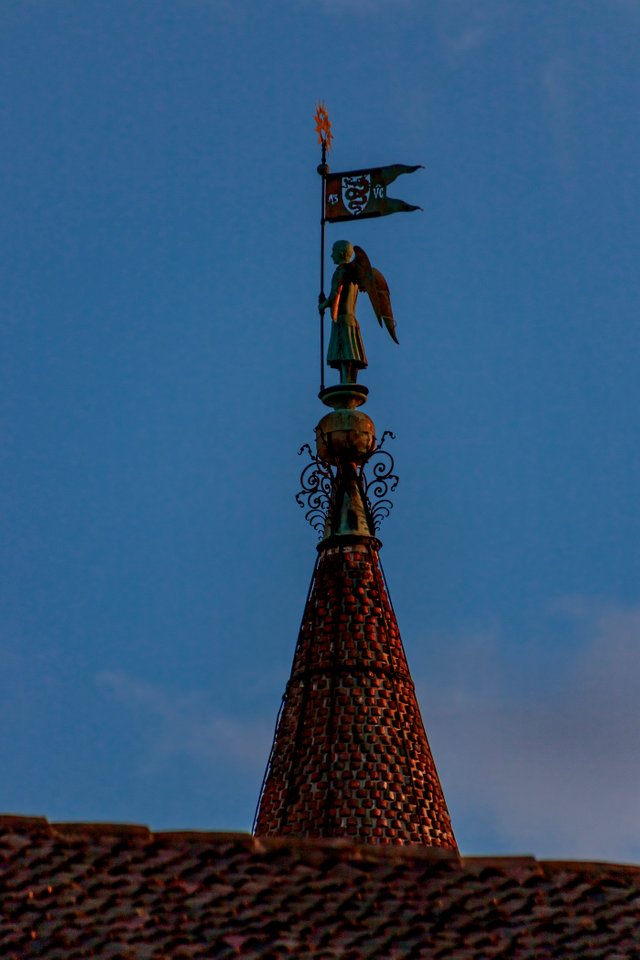 2022_09_01__084158.jpg