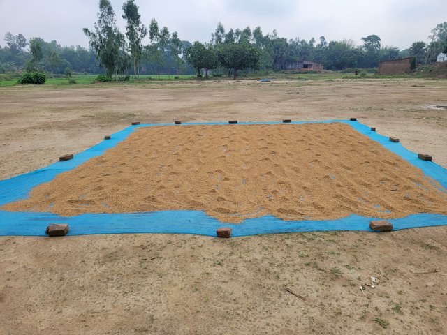 1000044825.jpg