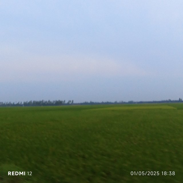 1000002383.jpg