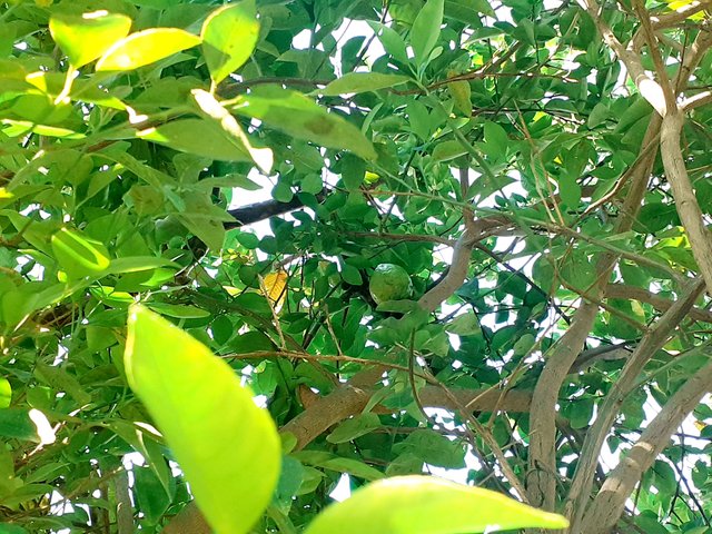 20250621_150814.jpg
