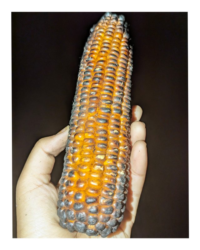 1000047710.jpg