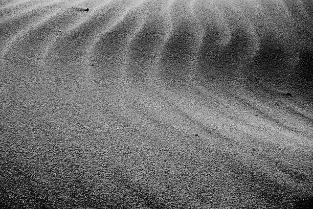 Dunes2a.jpg