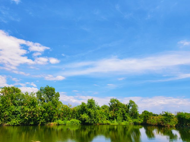 IMG_20250407_144538.jpg