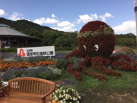 hyogo-兵庫-淡路島国営明石海峡公園-211333.jpg