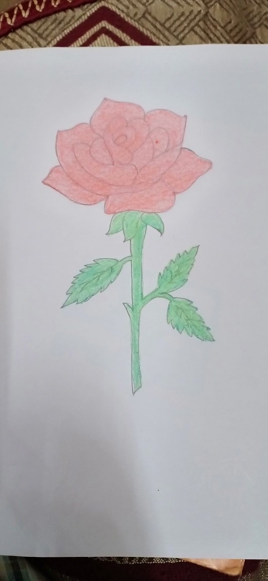 Rose Colored.jpg