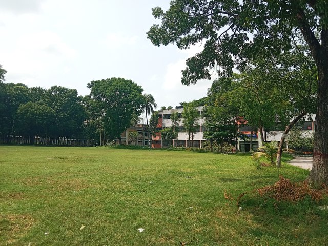 IMG_20250720_073313.jpg