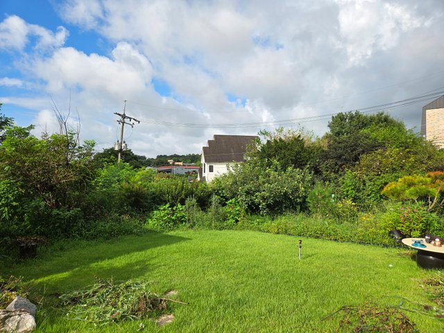 20250819_083410.jpg