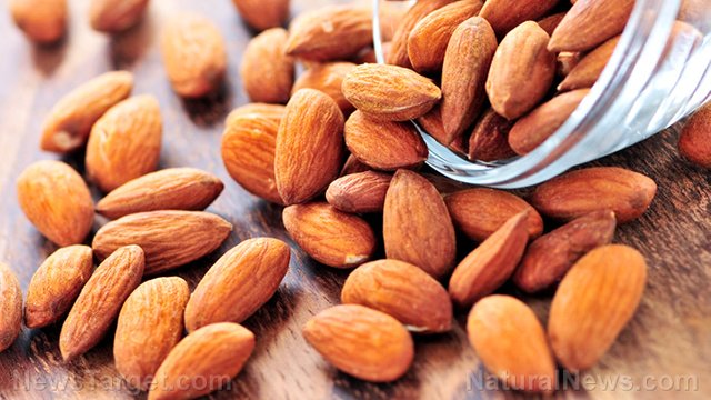 Spilled-Almonds-Nuts.jpg