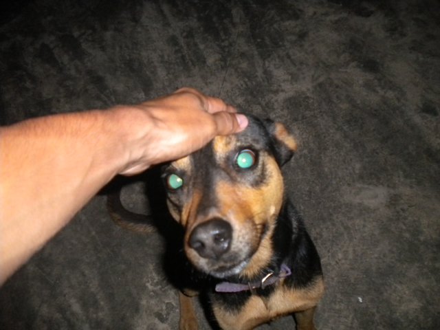 DSCN3344.JPG