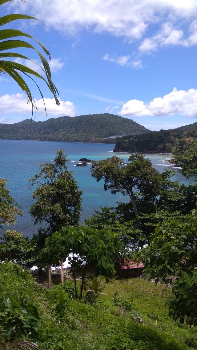 IMG_20190504_115136.jpg