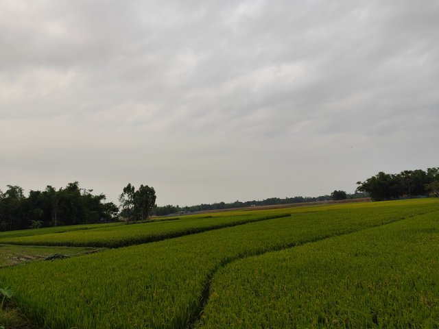 IMG_20250521_173233.jpg