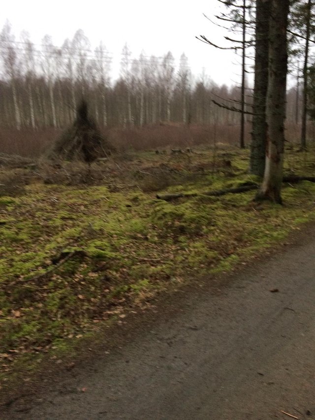IMG-20191230-WA0007.jpg