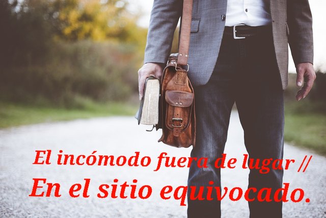 bag-1868758_1280.jpg