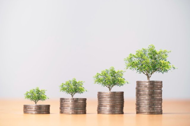 growing-trees-increasing-coins-stacking-growth-money-saving-business-profit-investment-concept (1).jpg