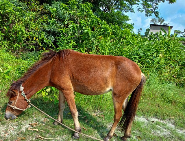 IMG20241009094219.jpg